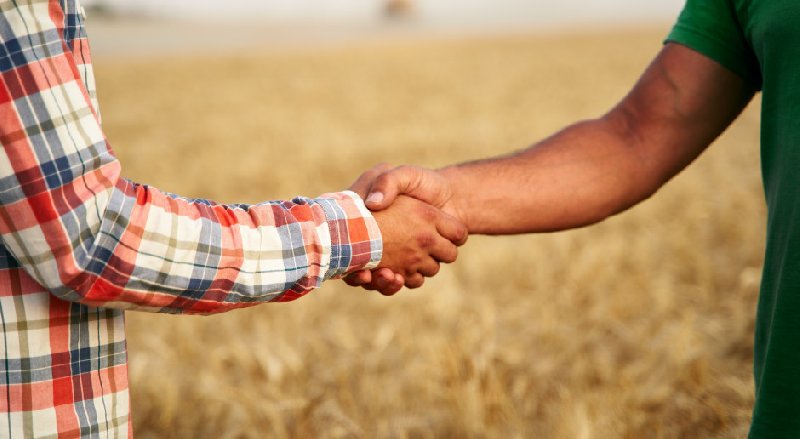 Doradca Biznesowy d/s grup producentów rolnych