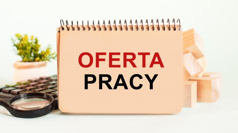 Praca Holandia. Magazyn, Pakowacz, Bez języka
